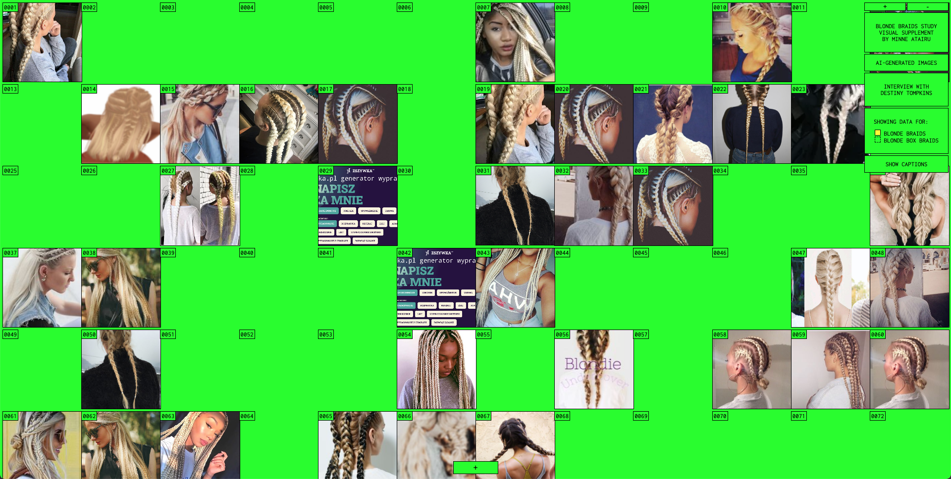 Blonde Braids Study
