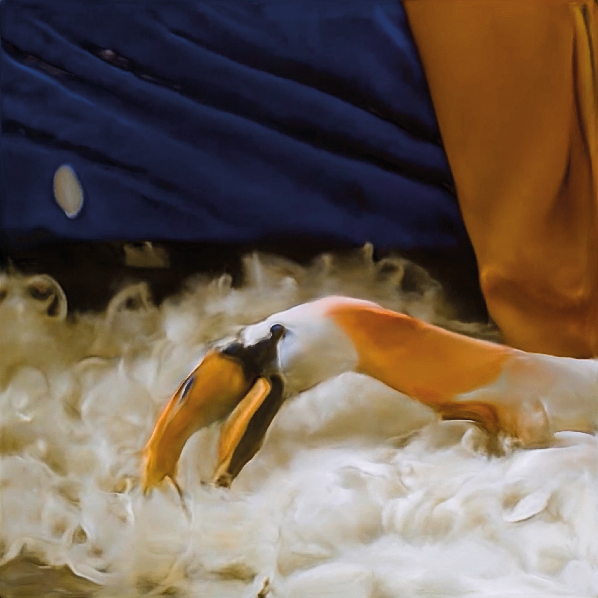 Leda Was a Swan